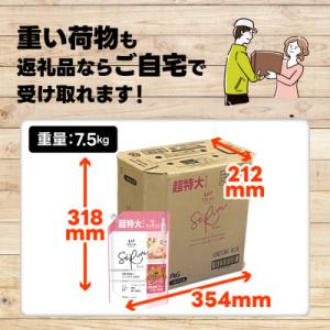 ふるさと納税 高崎市 レノア リセットセラム柔...の詳細画像2