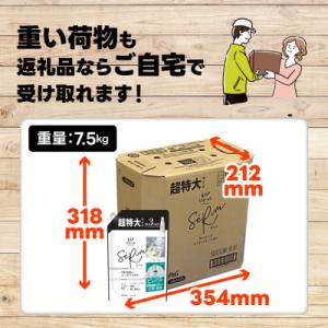 ふるさと納税 高崎市 レノア リセット セラム...の詳細画像2