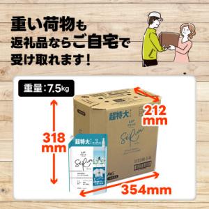 ふるさと納税 高崎市 レノア リセット セラム...の詳細画像2