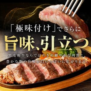 ふるさと納税 泉佐野市 【氷温熟成×極味付け】...の詳細画像1
