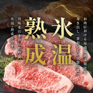 ふるさと納税 泉佐野市 【氷温熟成×極味付け】...の詳細画像3