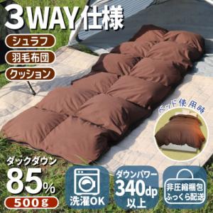 ふるさと納税 広川町 羽毛シュラフ(寝袋)×ダウンケット×ボルスタークッション 3WAY寝袋 ダウン85% 0.5kg使用