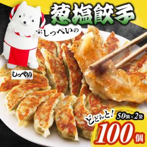 ふるさと納税 磐田市 しっぺいの葱塩餃子 100個(50個×2袋)きわだつ旨み!磐田市特産品の長葱使用 国産ぎょうざ 冷凍