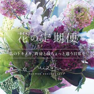 ふるさと納税 磐田市 【磐田市内限定】6か月間　離れて暮らす大切な人に届けます『花の定期便』
