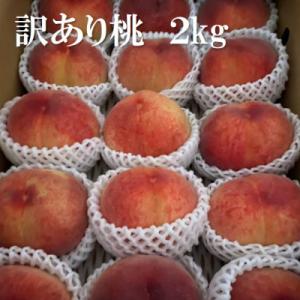 ふるさと納税 山梨市 2027年(来年) 発送【訳あり】桃 2kg以上
