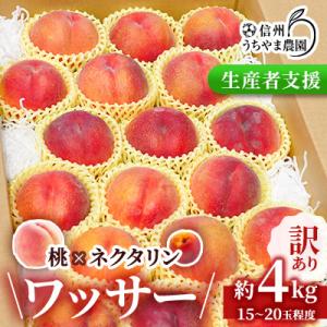 ふるさと納税 長野県 【訳あり】ワッサー(ピーチワッサー)約4kg　桃×ネクタリンの掛け合わせ