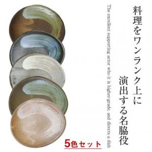 ふるさと納税 甲賀市 信楽焼 彩り取り皿 5色セット ct-0017-5