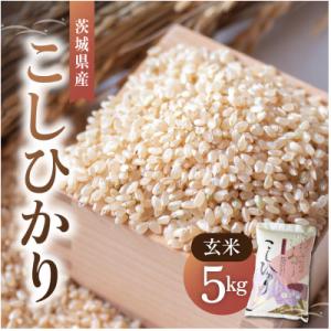 ふるさと納税 石岡市 【令和7年産】獅子米 いのちの壱 玄米 30kg