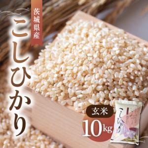 ふるさと納税 かすみがうら市 令和8年産 新米 コシヒカリ 玄米 10kg | こしひかり お米 おこめ 茨城県産