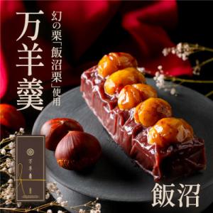 ふるさと納税 茨城町 万羊羹飯沼 500g