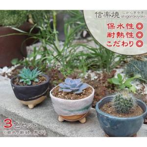 送料無料】大津絵 色紙「藤娘」肉筆｜滋賀県 伝統工芸品 : たちまち堂