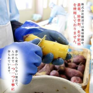 ふるさと納税 つくばみらい市 干し芋 紅はるか...の詳細画像2