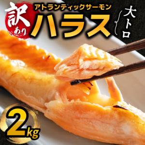 ふるさと納税 泉佐野市 【訳あり】アトランティックサーモン ハラス 2kg(1kg×2P)大トロ 腹...