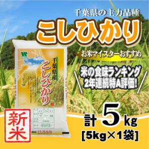 ふるさと納税 大網白里市 【新米 令和8年産】【特A評価】千葉県産「コシヒカリ」精米 5kg(5kg×1袋)