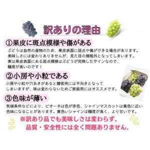 ふるさと納税 津山市 【2026年先行受付】お...の詳細画像3