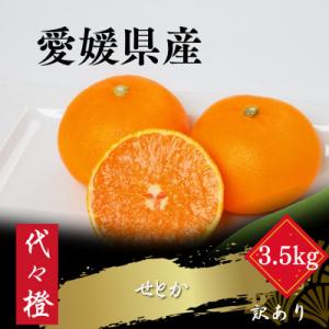 ふるさと納税 八幡浜市 代々橙せとか【訳あり】3.5kg【C83-54】