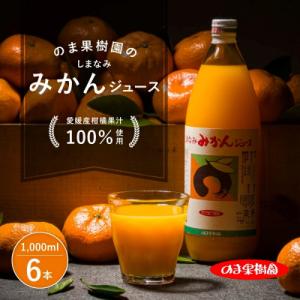 ふるさと納税 今治市 のま果樹園のしまなみみかんジュース 1L×6本【V003020LSET6】
