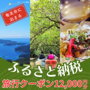 ふるさと納税 奄美市 【直行チャーター便にも使える!】奄美市に泊まるふるさと納税旅行クーポン【12,...