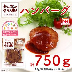 ふるさと納税 酒田市 【ふるさと納税】みんなの食卓 ハンバーグ おまとめ 10個セット 75g×10...