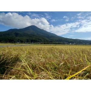ふるさと納税 土浦市 【令和8年産 茨城県産ミ...の詳細画像3
