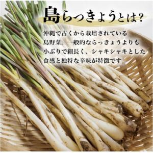 ふるさと納税 糸満市 【畑人市場】 土付き 生...の詳細画像1