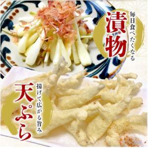 ふるさと納税 糸満市 【畑人市場】 土付き 生...の詳細画像2