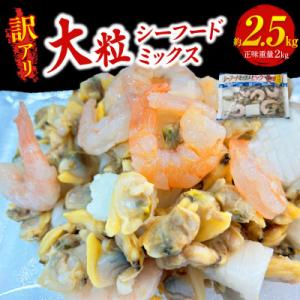 ふるさと納税 西尾市 【訳アリ】大粒シーフードミックス　2.5kg(正味250g×8袋)・K317