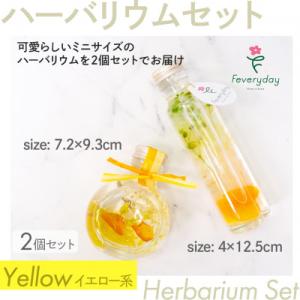 ふるさと納税 佐倉市 ハーバリウムセット イエロ...の商品画像