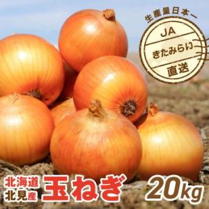 ふるさと納税 北見市 【先行受付】JAきたみらい産 玉ねぎ Lサイズ以上 20kg