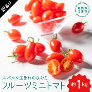 ふるさと納税 江津市 【訳あり】スパルタ生まれのひみこ(フルーツミニトマト)約1kg
