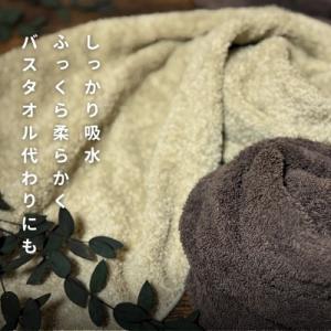 ふるさと納税 泉佐野市 ノーブルロングタオル(...の詳細画像1