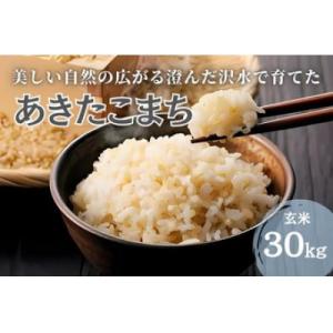 ふるさと納税 大仙市 【先行予約】【令和8年産米】秋田県大仙市産 沢水で育てた あきたこまち【玄米】30kg