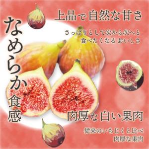 ふるさと納税 春日市 【2027年8月上旬〜2...の詳細画像1