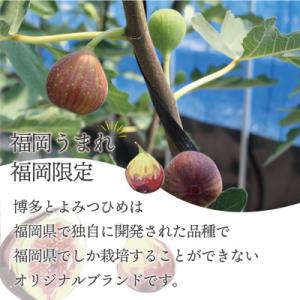 ふるさと納税 春日市 【2027年8月上旬〜2...の詳細画像3