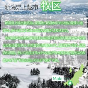 ふるさと納税 上越市 メープルシロップ 雪国楓...の詳細画像2