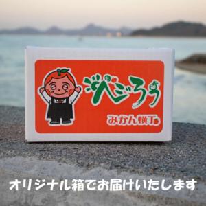 ふるさと納税 松山市 種なしピオーネぶどう 約...の詳細画像3