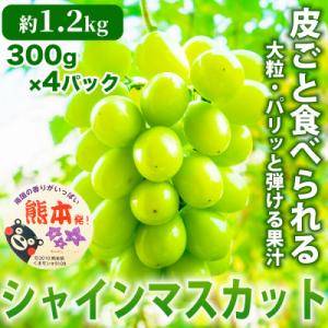 ふるさと納税 宇城市 熊本県 宇城市産 甘みが強...の商品画像