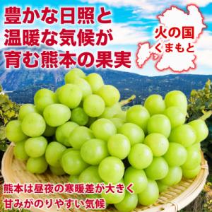 ふるさと納税 宇城市 熊本県 宇城市産 甘みが...の詳細画像1