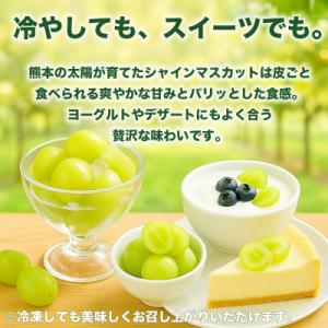 ふるさと納税 宇城市 熊本県 宇城市産 甘みが...の詳細画像3