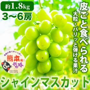ふるさと納税 宇城市 熊本県 宇城市産 甘みが強く香り高いぶどう! シャインマスカット 3〜6房 約1.8kg(宇城市)