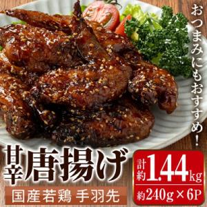 ふるさと納税 出水市 国産若鶏手羽先甘辛唐揚げセット_I1100(出水市)