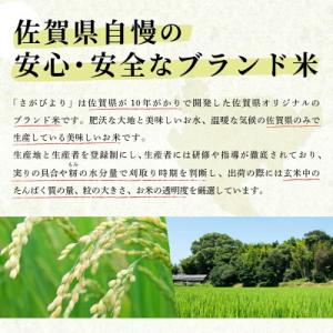 ふるさと納税 上峰町 令和7年産さがびより 10kgの詳細画像1