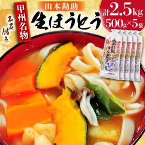 ふるさと納税 韮崎市 山梨名物 勘助ほうとう 500g (6〜7人前)　分けて作れる味噌 2パック付...