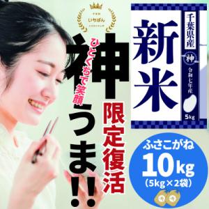 ふるさと納税 神崎町 《 12月発送分・令和7年産 新米 》千葉県神崎町産 ふさこがね 10kg(5...
