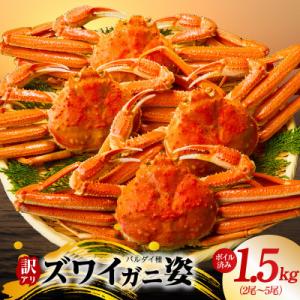 ふるさと納税 泉佐野市 バルダイ種 ズワイガニ姿 1.5kg(2〜5尾) ボイル済み 訳あり サイズ不揃い kgp0086