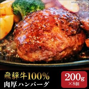 ふるさと納税 岐阜市 飛騨牛100% 生ハンバーグ(200g×8個) 個包装