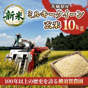 ふるさと納税 ひたちなか市 【先行予約・9月以降順次発送】令和8年　ひたちなか市産　ミルキークイーン(玄米)10kg×1袋