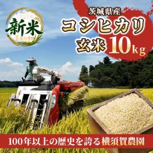 ふるさと納税 ひたちなか市 【先行予約・9月以降順次発送】令和8年　ひたちなか市産　コシヒカリ(玄米)10kg×1袋