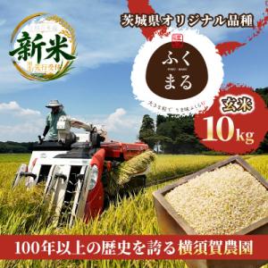 ふるさと納税 ひたちなか市 【先行予約・9月以降順次発送】令和8年　ひたちなか市産　ふくまる(玄米)10kg×1袋