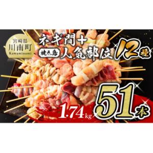 ふるさと納税 川南町 宮崎県産若鶏 やきとり 人気部位串セット&ネギ間串セット 51本　約1.74kg